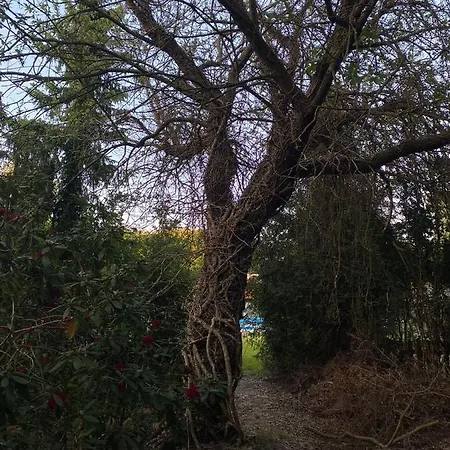 Neptun - Nr 5 W Dominikana & Sianozety