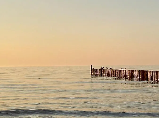 Apartment Neptun - Nr 5 W Dominikana &